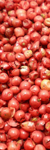 Pfeffer rot ganz rosa Schinusbeere Bio